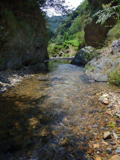 冰火人魔岛探险